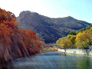 管家婆黑白马报图库，彩电主板